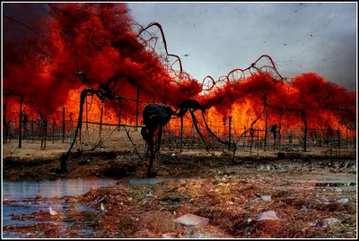 The World of Tomorrow