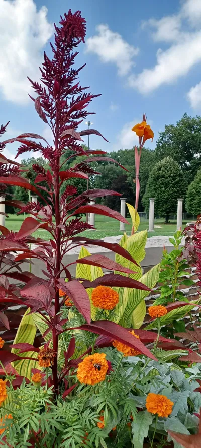 Holliday Park, Indianapolis, IN