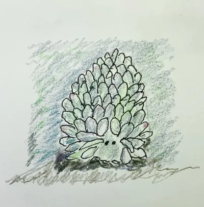 Animal #9 Leaf sheep sea slug