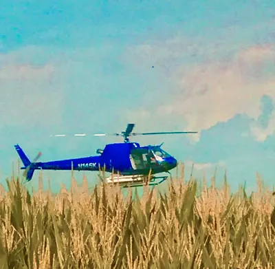 Helicopter and Corn