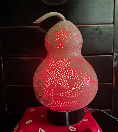 Found in Jim’s Garden, back