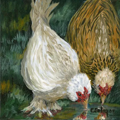 Sister Chicks Drinking in Acrylics