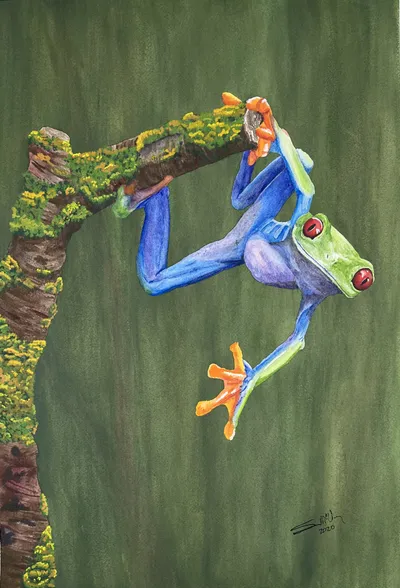 Tree Frog: Hang in there Buddy