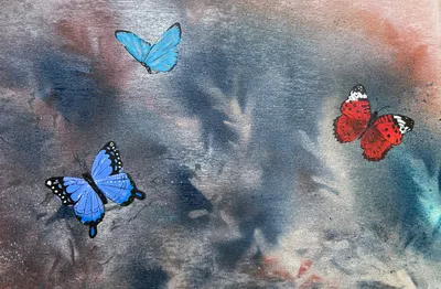 Where Wings Catch Fire