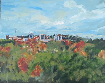 Macon Skyline