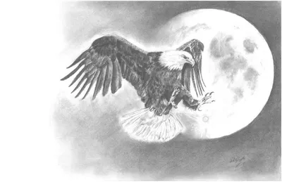 "the Eagle has landed"