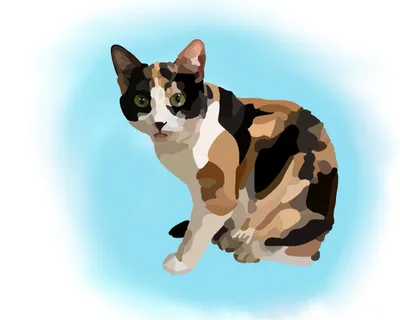 Calico Cal