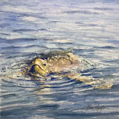 Come On In The Water Is Fine