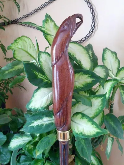 “Bellamy Eagle hiking staff “ by Kevin Lawson