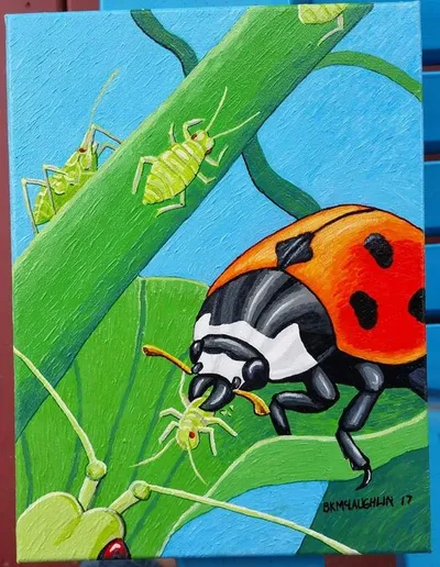 Lady and Aphids