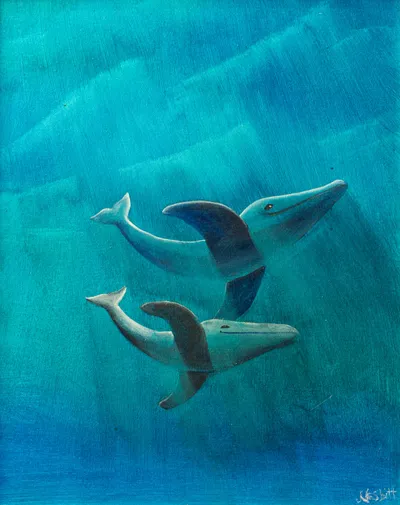 The Dolphin Twins