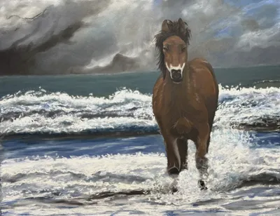 Seaside Gallop