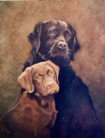 Brown lab with yellow lab pup