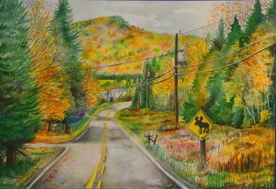 Aroostook state park in autumn