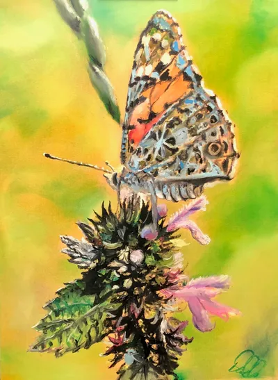 “Butterfly” “x” Oil Painting