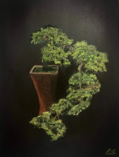 “Bonsai”