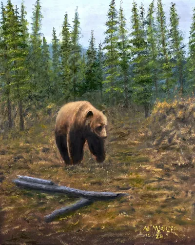Bear In the Woods