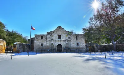 Alamo in the Snow
