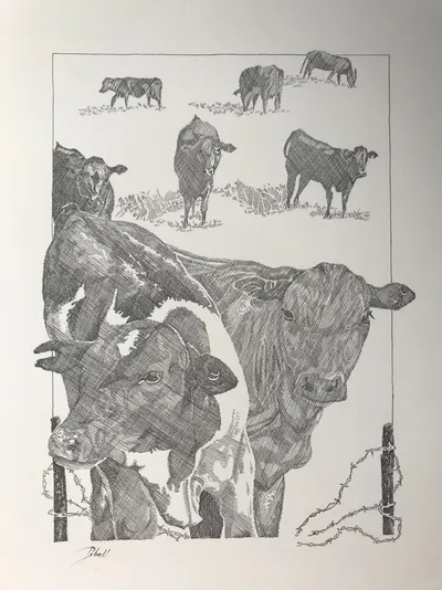 We're Coming Through