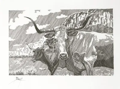 Longhorns