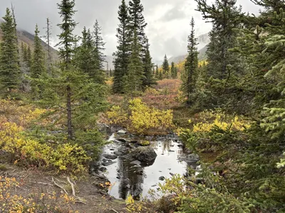 SF Eagle River Autumn (photo)
