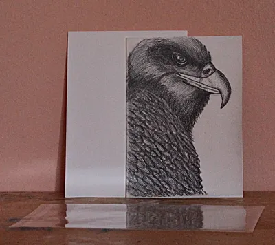 Strength And Purpose