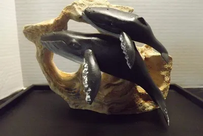 "First breath" Humback mother and calf