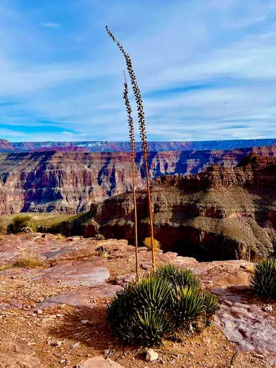 Hualapai West Rim Winter