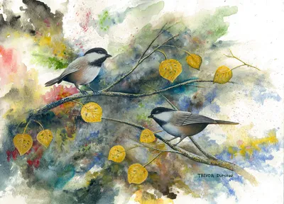 Fall Chickadees - Watercolor Painting