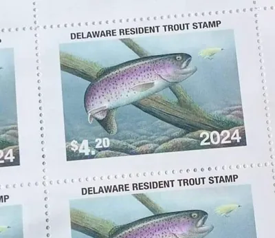 Winning 2024 Delaware Trout Stamp Design