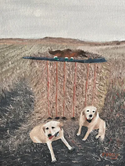 Pheasant Hunting Dogs