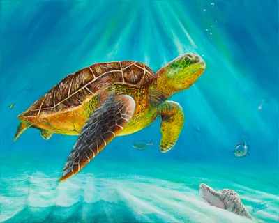 "Ralo" the Sea Turtle