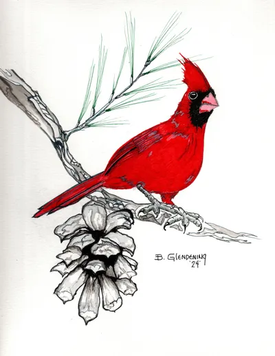 Cardinal