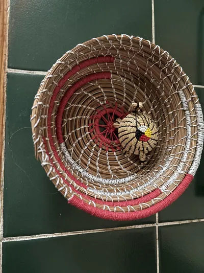 “gift” turtle (Donated)