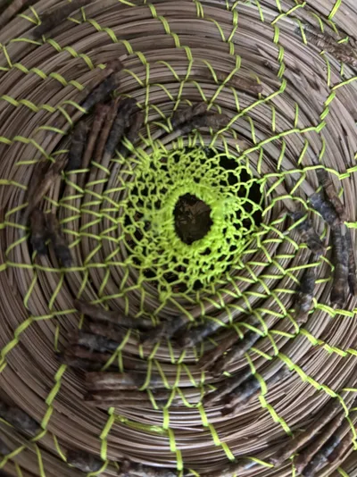 AHH auction (donated)