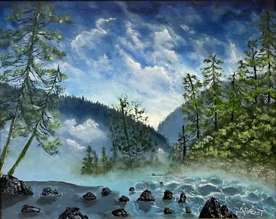 Northwest wilderness morning