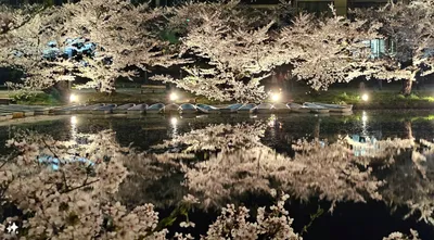 Hirosaki Castle, Japan