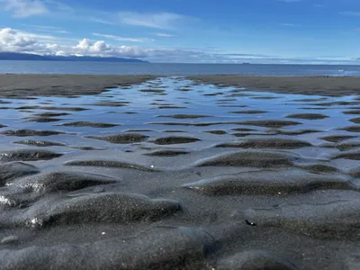 Katchemak Bay  (photo)