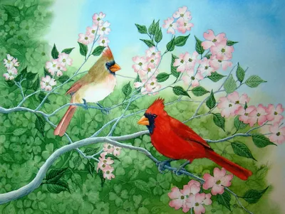 Meeting in the Dogwood